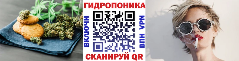 сколько стоит  Магадан  гидра tor  Cannafood марихуана 