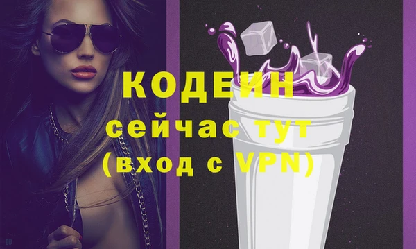 хмурый Елизово