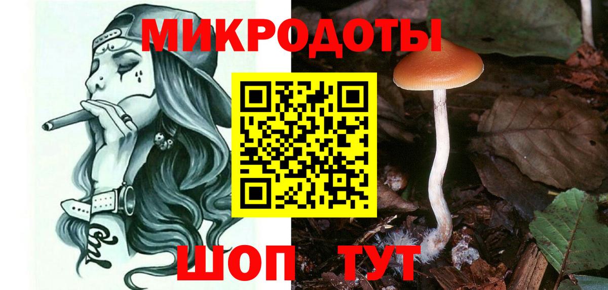 Псилоцибиновые грибы Psilocybe Магадан