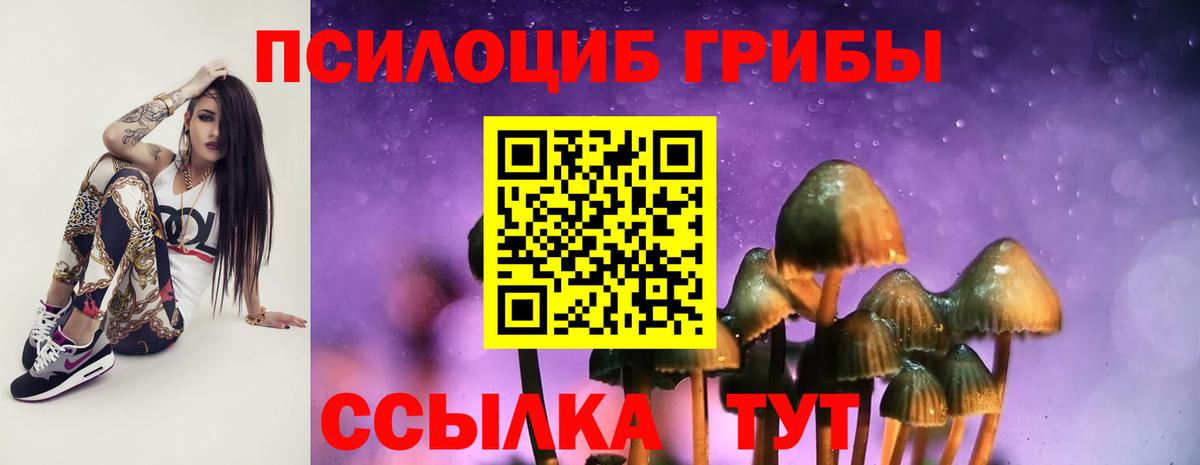 Галлюциногенные грибы мицелий  Вход с VPN  Магадан  Псилоцибиновые грибы Magic Shrooms 